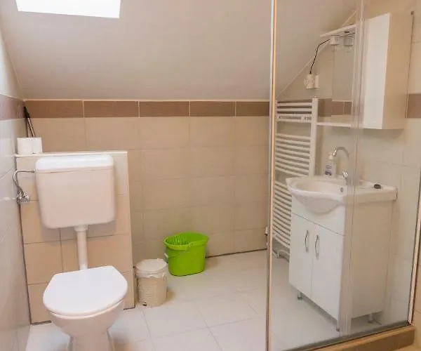 Viktoria Apartament *